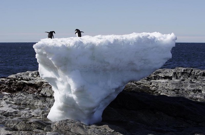 На фоне рекордно высоких температур в Антарктиде происходит интенсивное таяние льдов