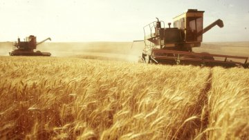 Законопроект о монополизации экспорта зерна застопорился в парламенте