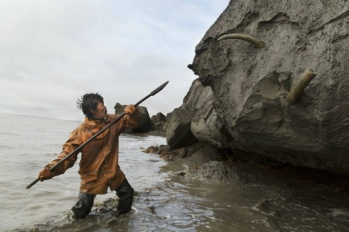 Вот так добывают бивни мамонта из ледников Сибири местные старатели