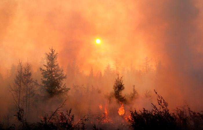 Основные очаги лесных пожаров в Сибири на 31.07.2019 года