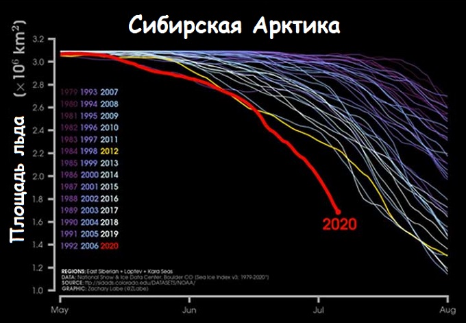 Степень сокращения площади льдов у берегов Сибири