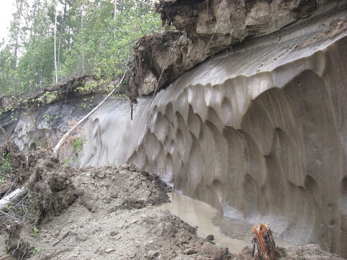 This is what permafrost looks like in a sectionThis is what permafrost looks like in a section