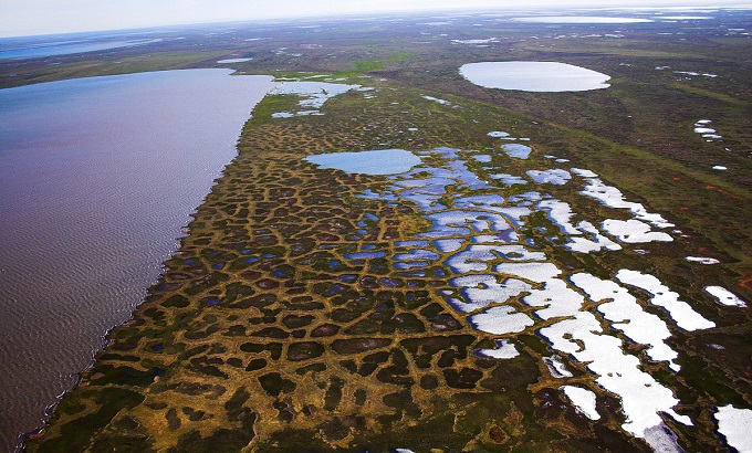 Cracks in the glacier closed by tundra vegetation